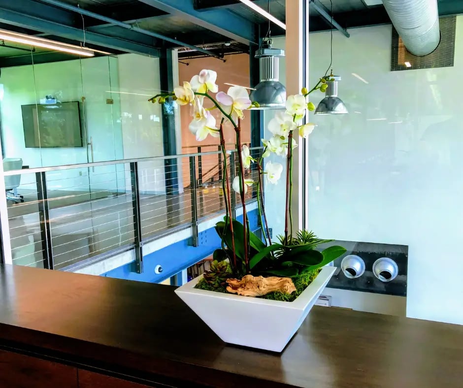 orchid placed on a table in an office
