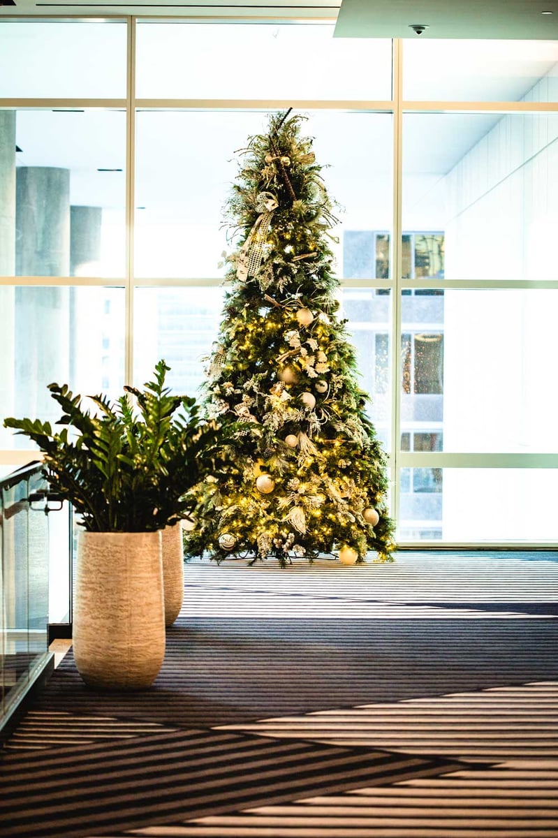 Yellow, Gold, and White Christmas tree in an office space