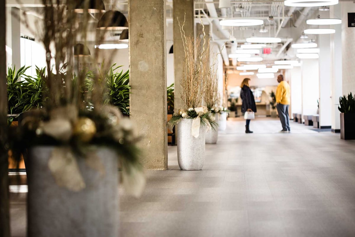 Ivory and White branch displays in a multi-tenant office space