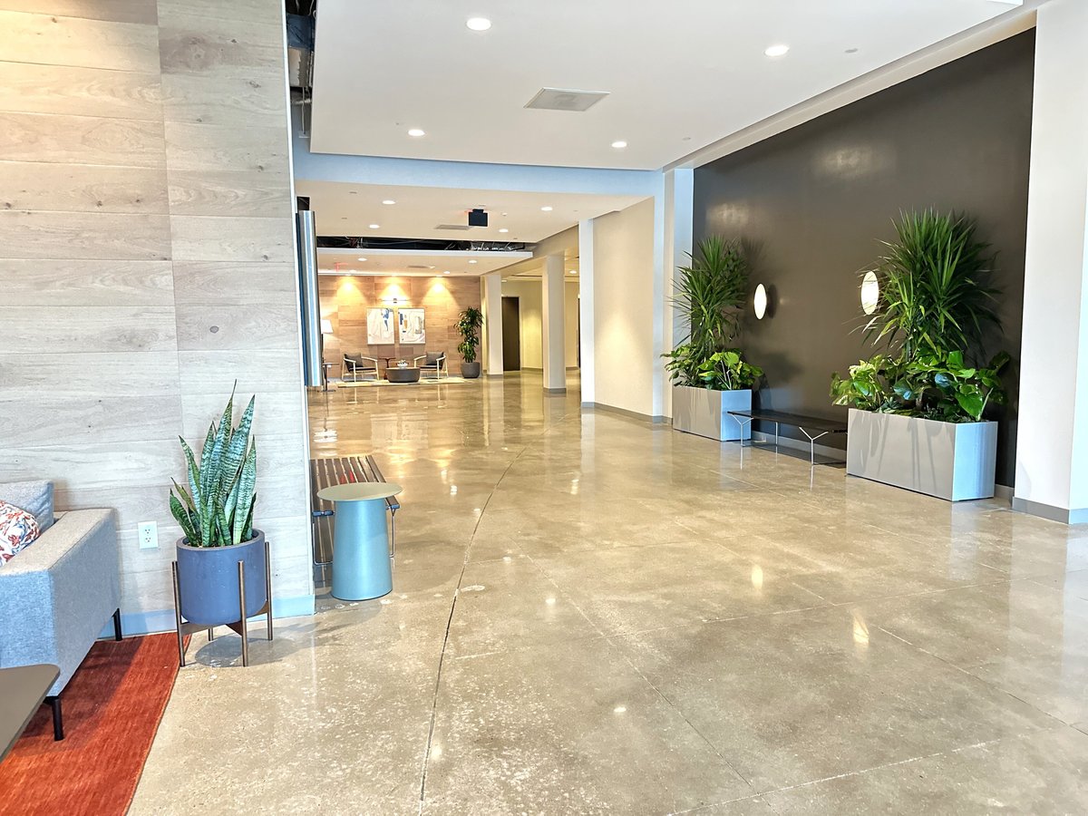 Indoor plants with silver containers in an office