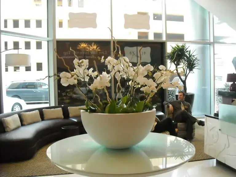lobby space with orchid bowl