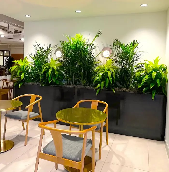 restaurant space with potted plants 