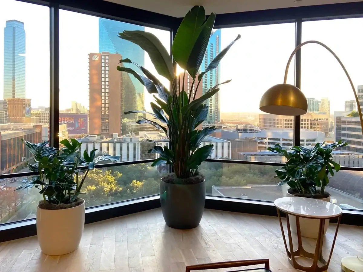 coworking office space with potted plants