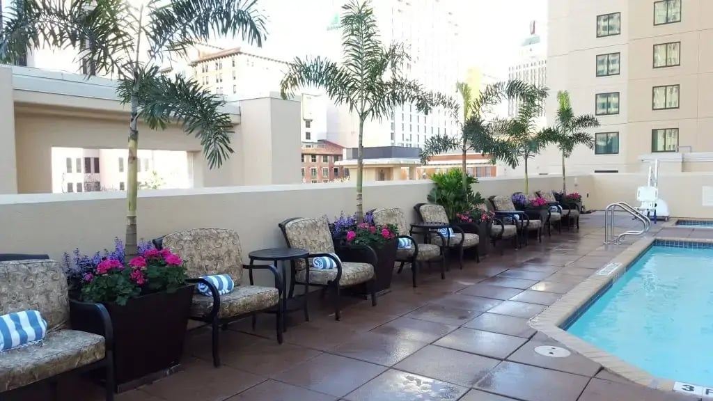 Palms and flowers in black planters by a hotel pool