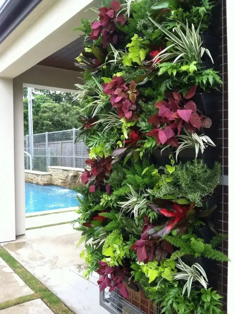 Exterior residential green wall