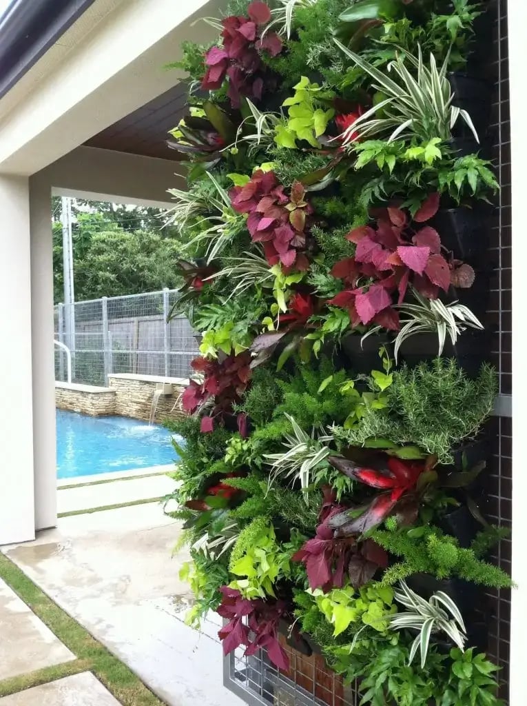exterior living wall in a residential space
