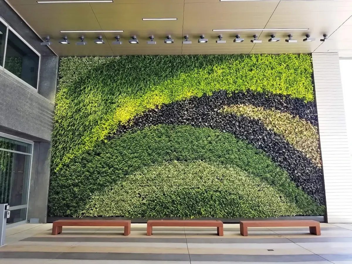 exterior living wall in office entry way