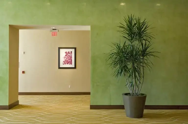 Hallway with potted plants