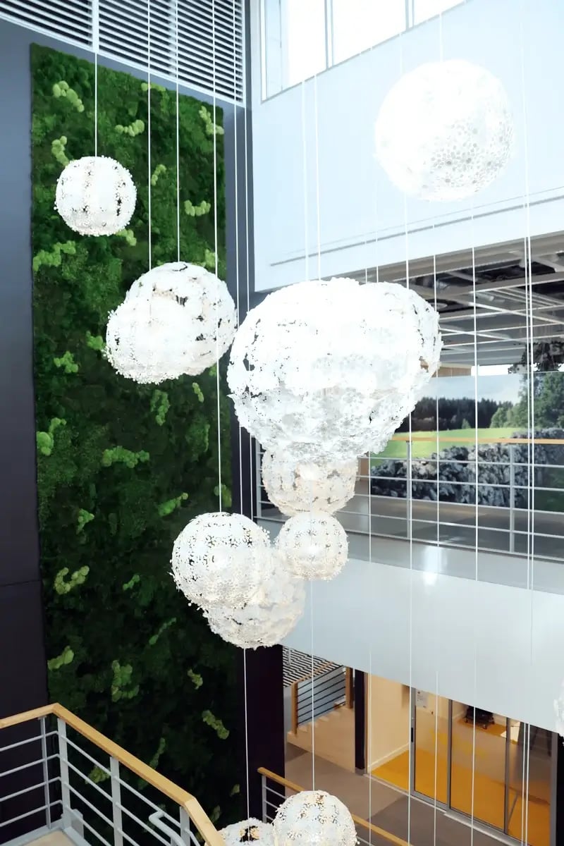 Tall Moss Wall in an office space