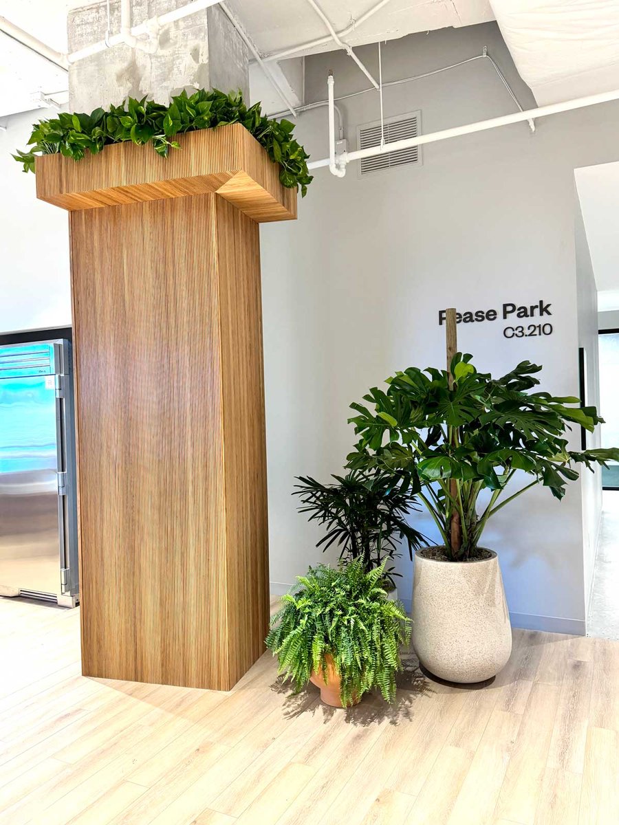 Indoor plants in a variety of sizes in an office lobby