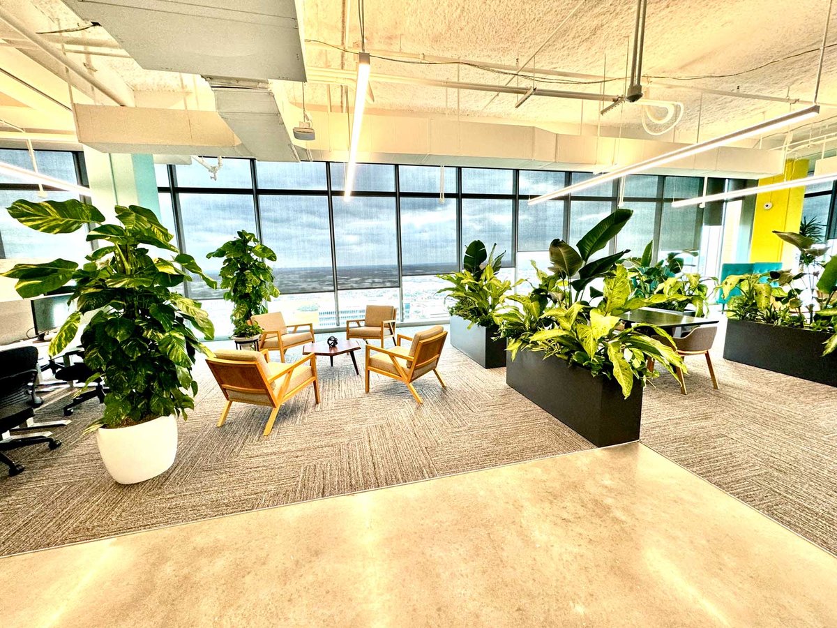 Office seating area with a variety of indoor plants and containers 