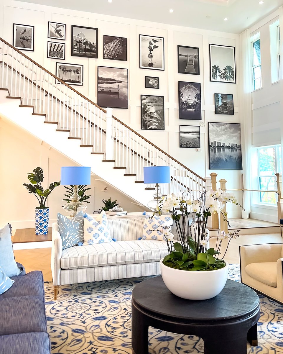 Plants and an orchid in a living room