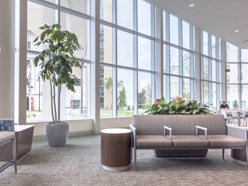 A variety of plants in the lobby of a medical office