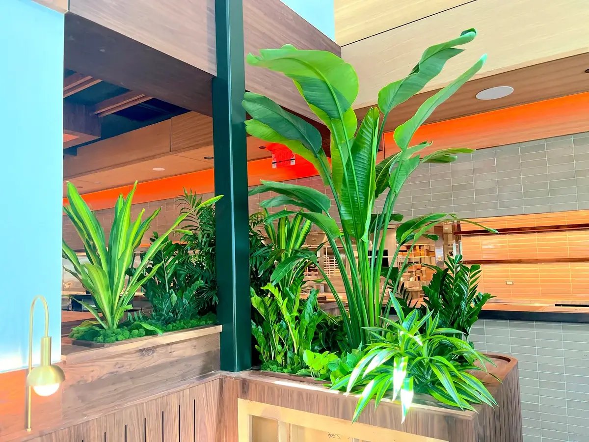 common space with potted plants