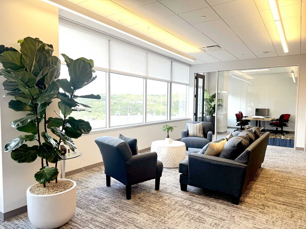 Office seating area with a variety of large leafy plants