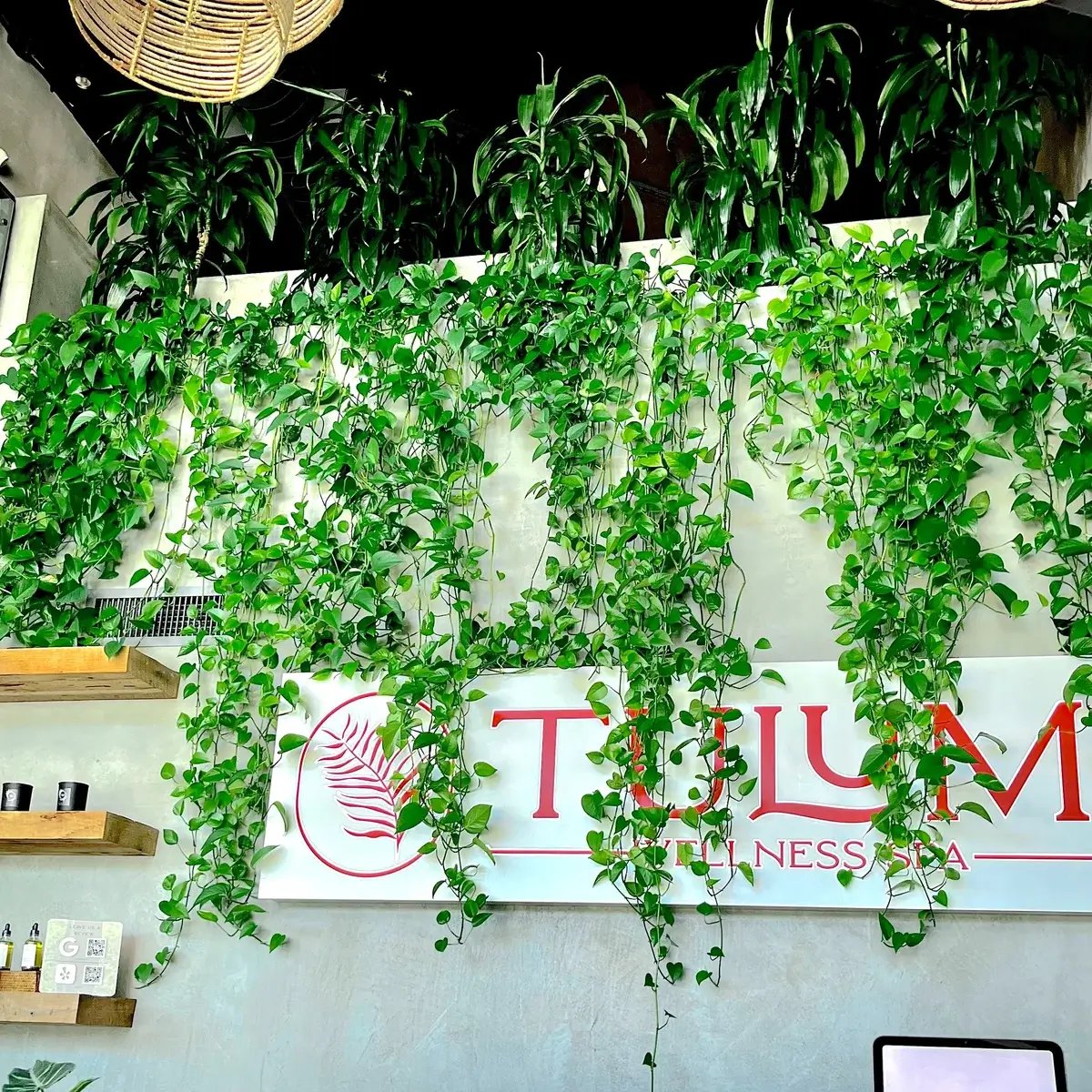 Long, flowy plants with brand logo / signage