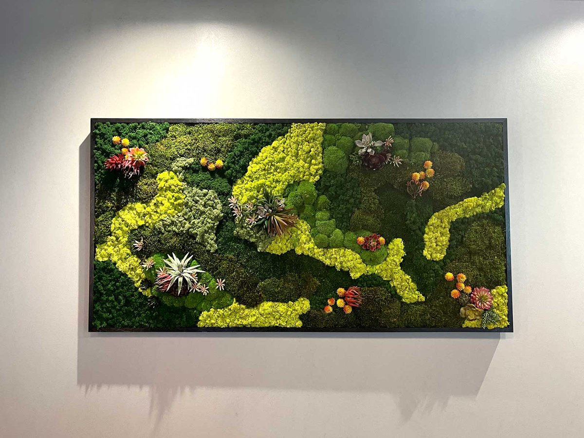 Small moss wall with a variety of succulents