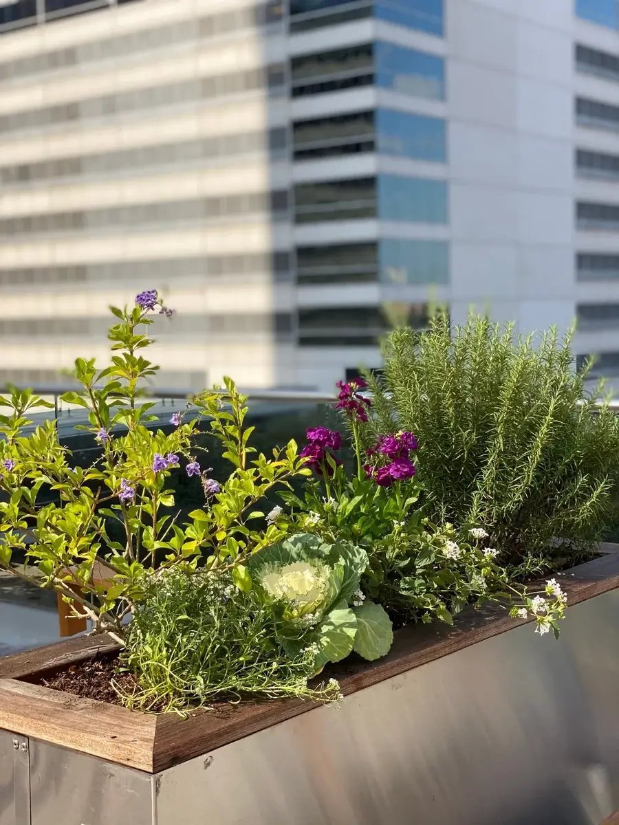 Long wooden container with exterior plants and flowers