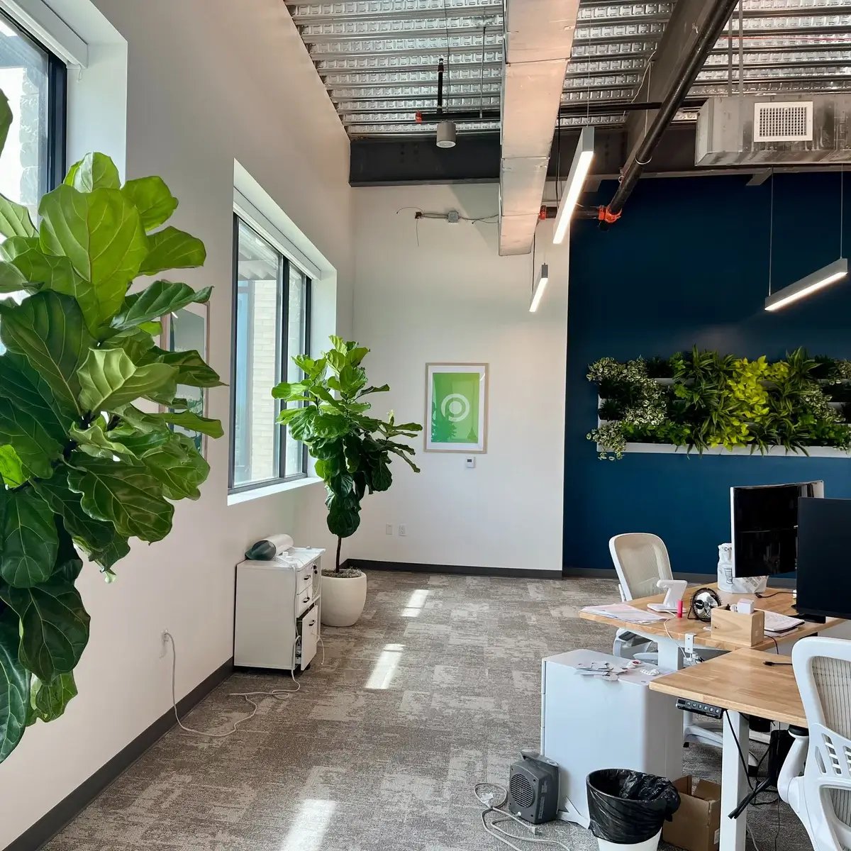 office space with plants