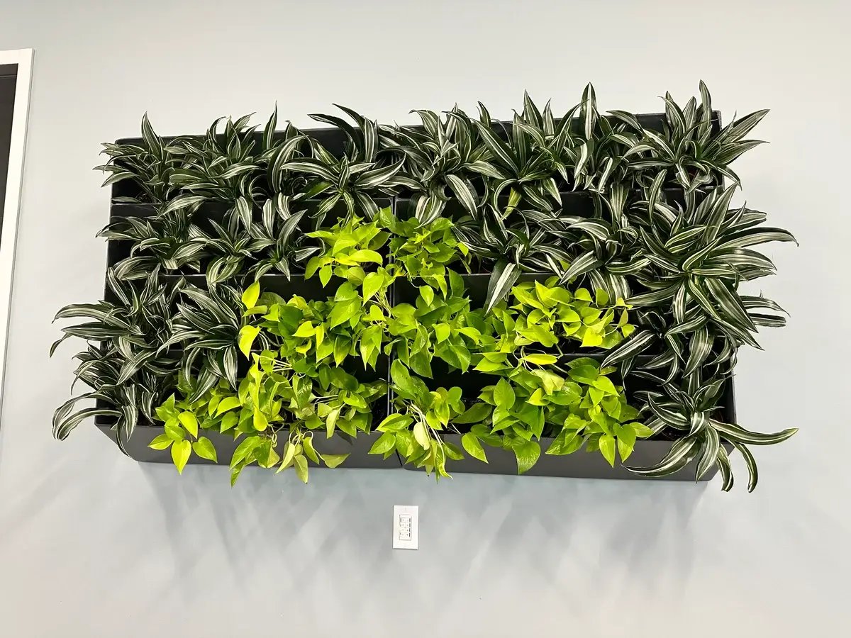 Small rectangular living wall, interior