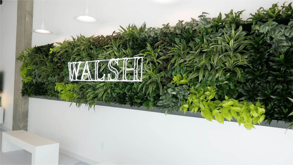 Walsh living wall