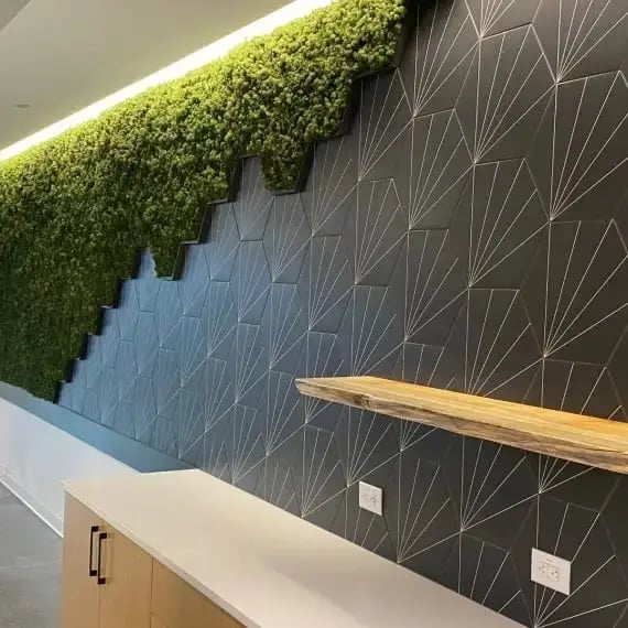 JLL-Crabtree-Terrace-NC-MossWall-NaturaHQ-16x12k-570x570-2