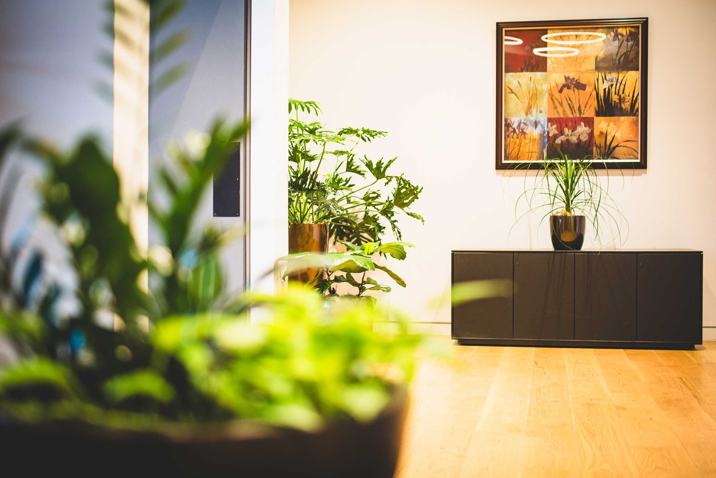 Three different plants at jefferson pant and one is on a table in front of art work