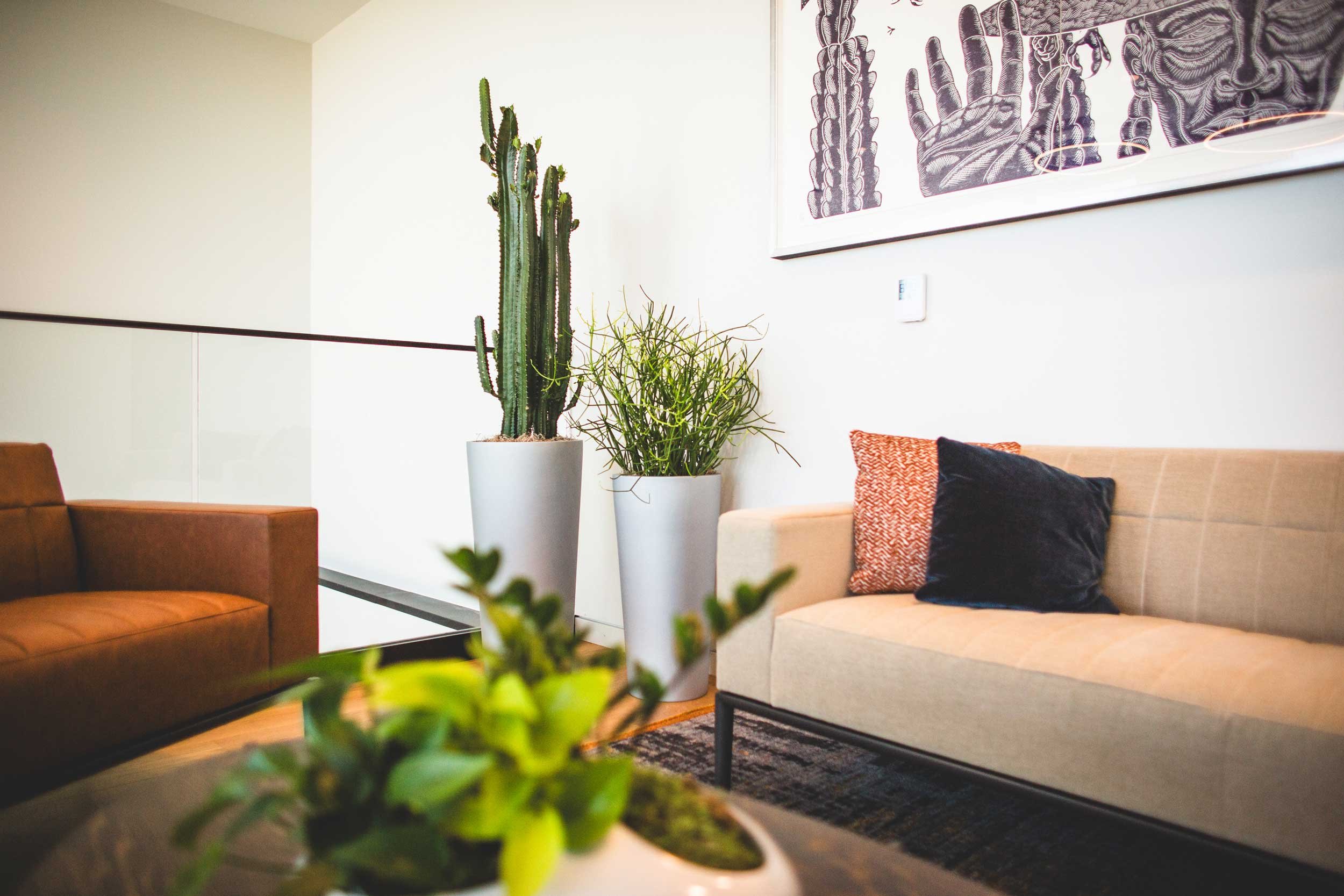 Two silver pots with two different plants in a waiting area with brown sofas and a plant on the table