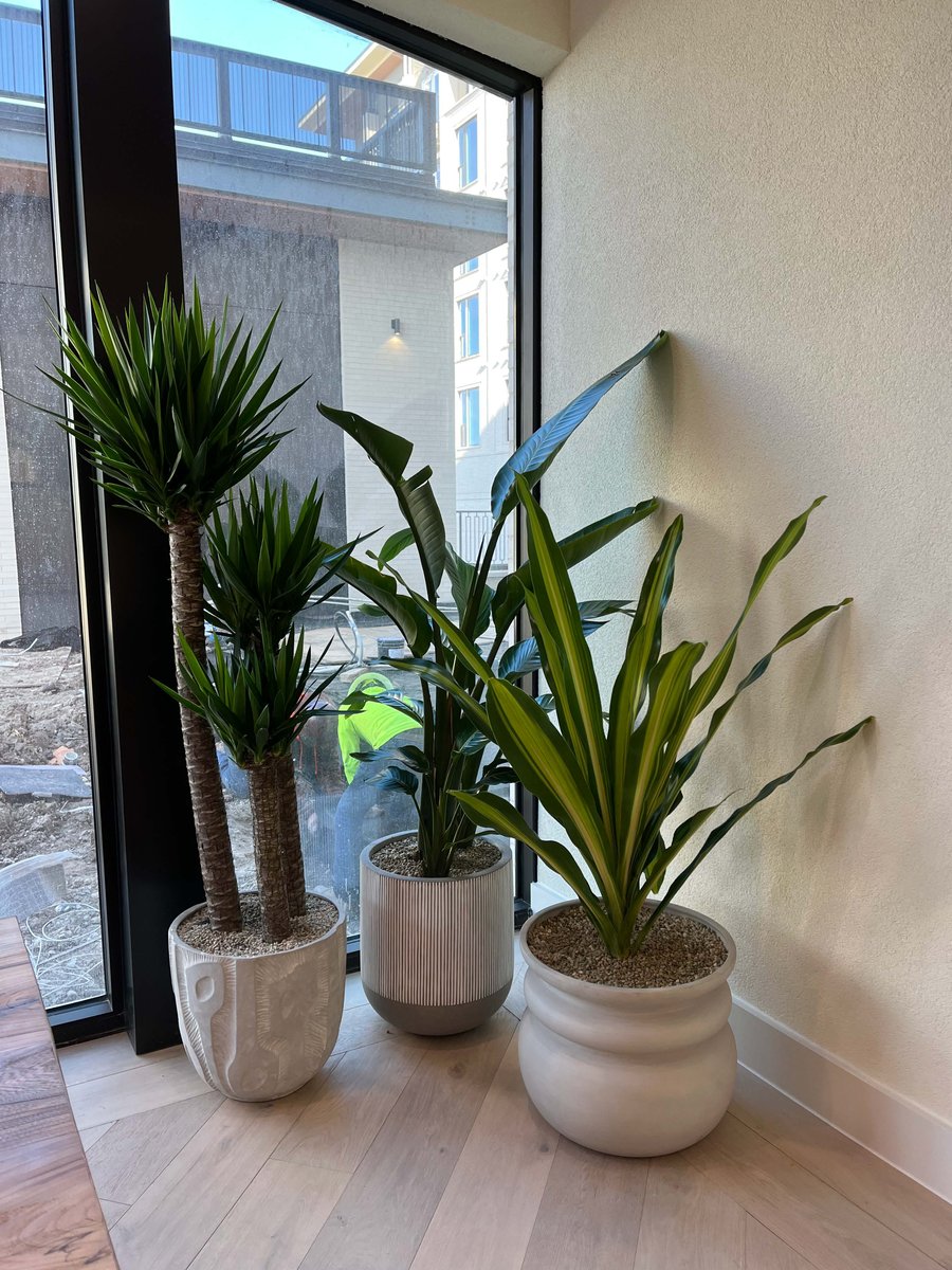 Lobby grouping-1