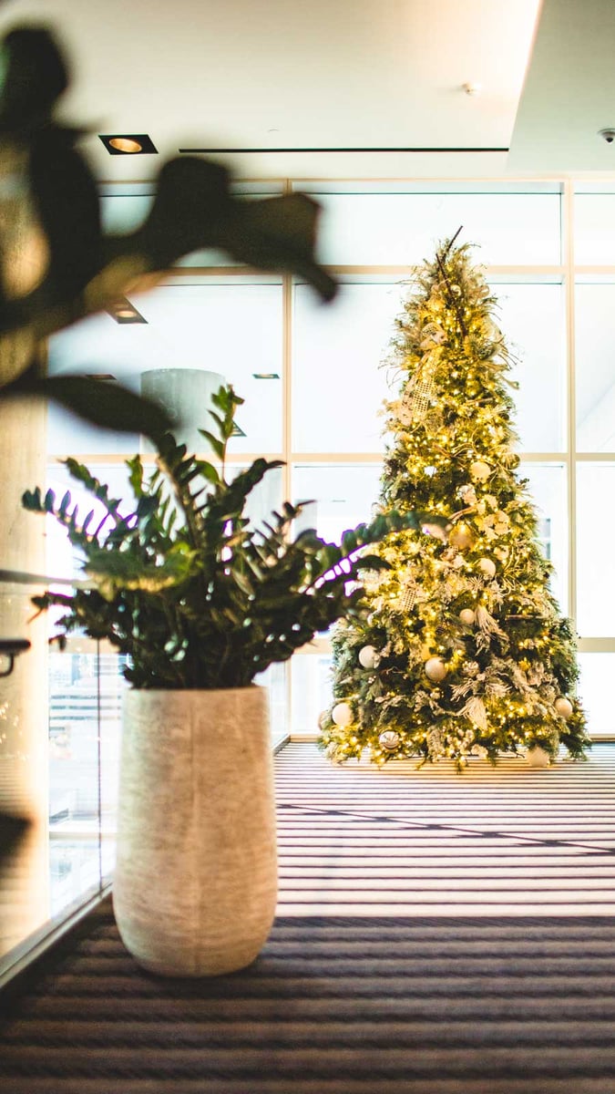 Lobby-with-christmas-tree