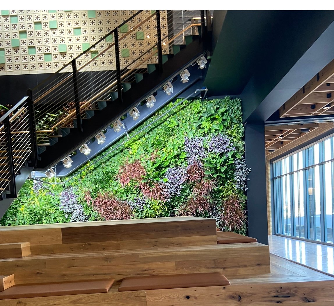 CHCU Living wall 5th floor