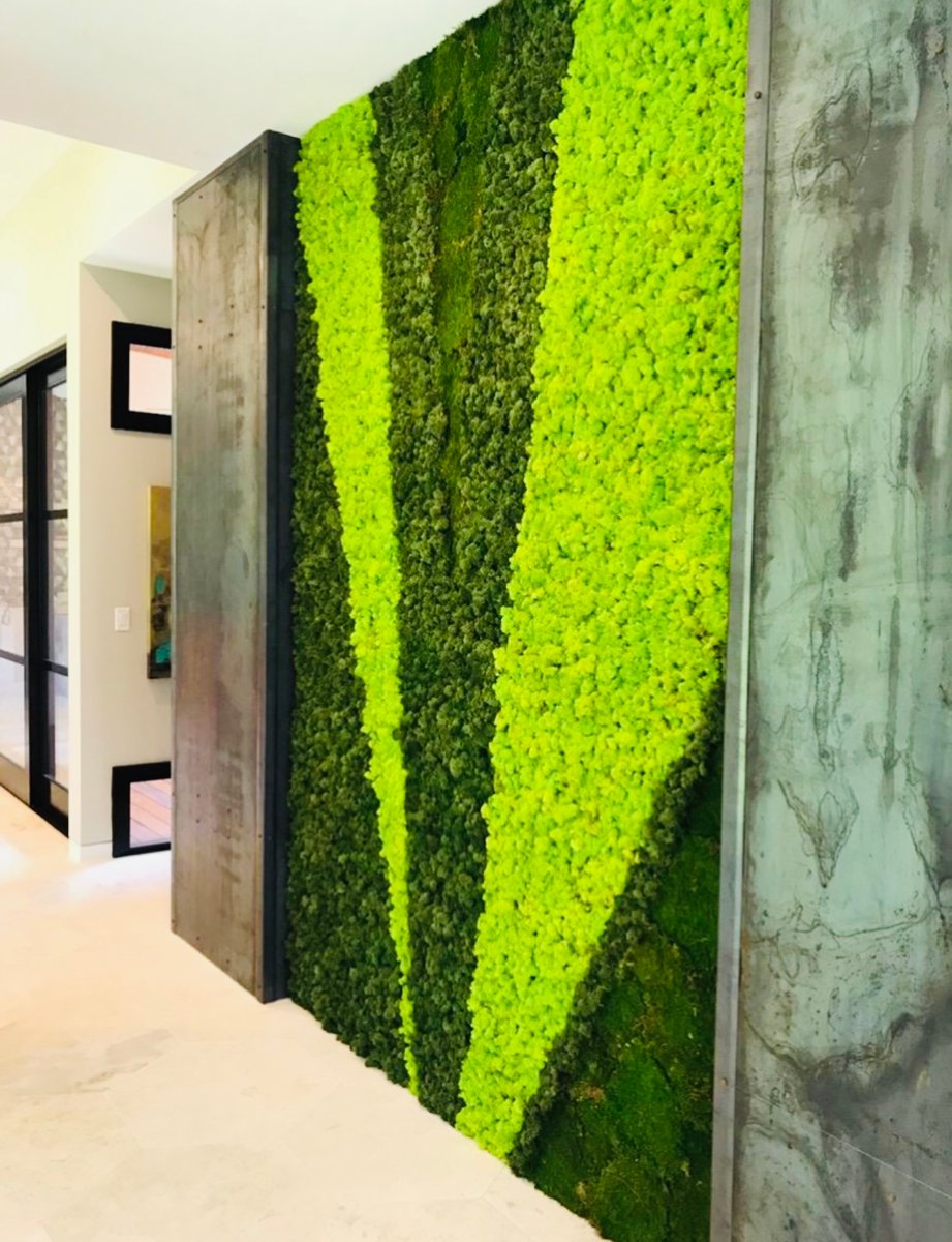 Custom builder residential moss wall 