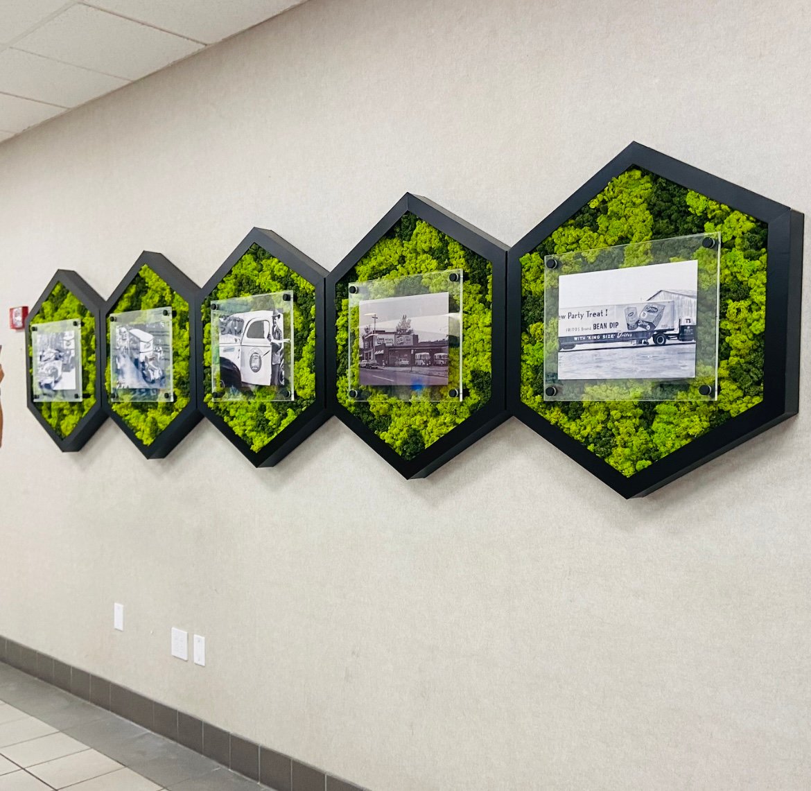 Frito Lay moss wall panels