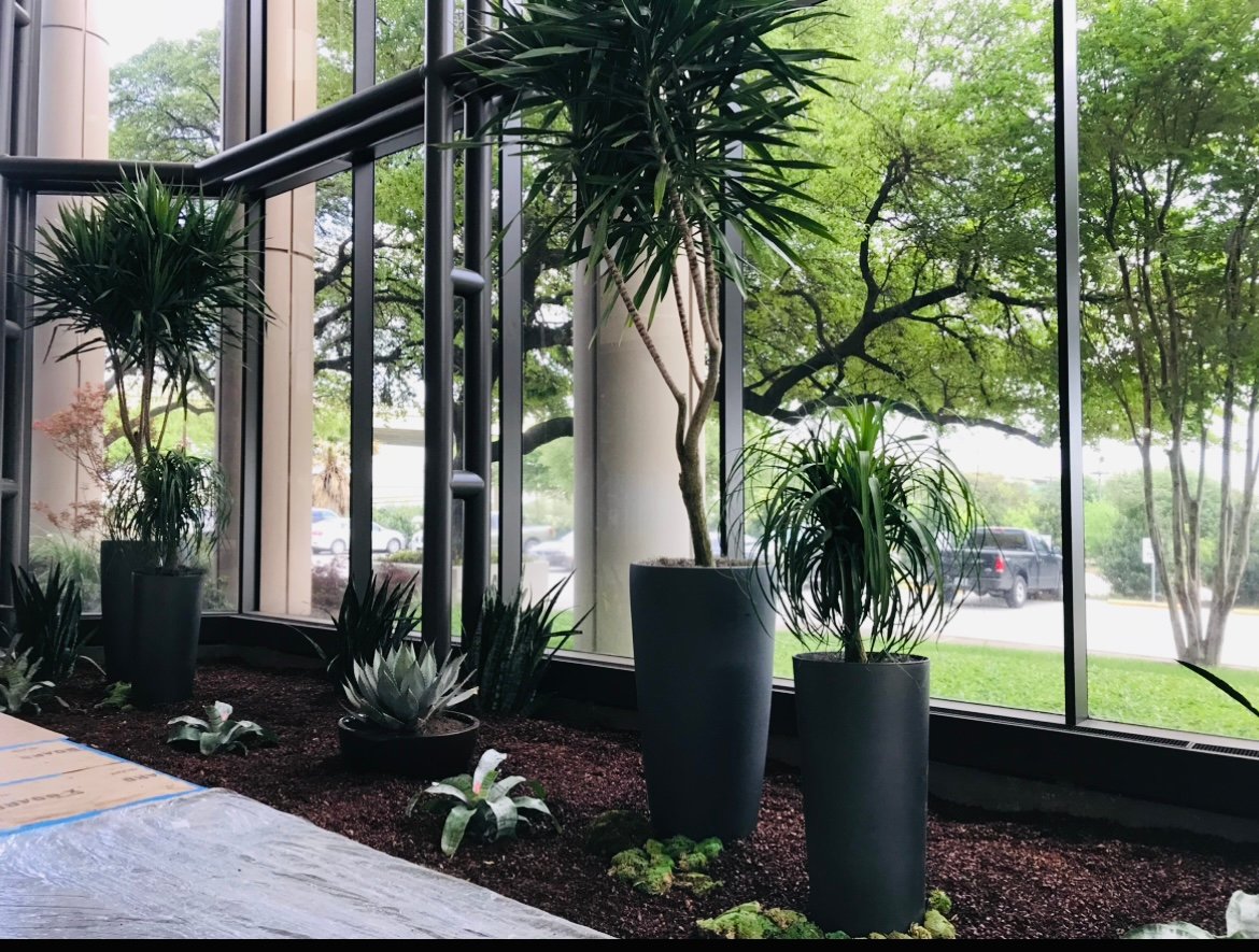 Northwest Center lobby redesign