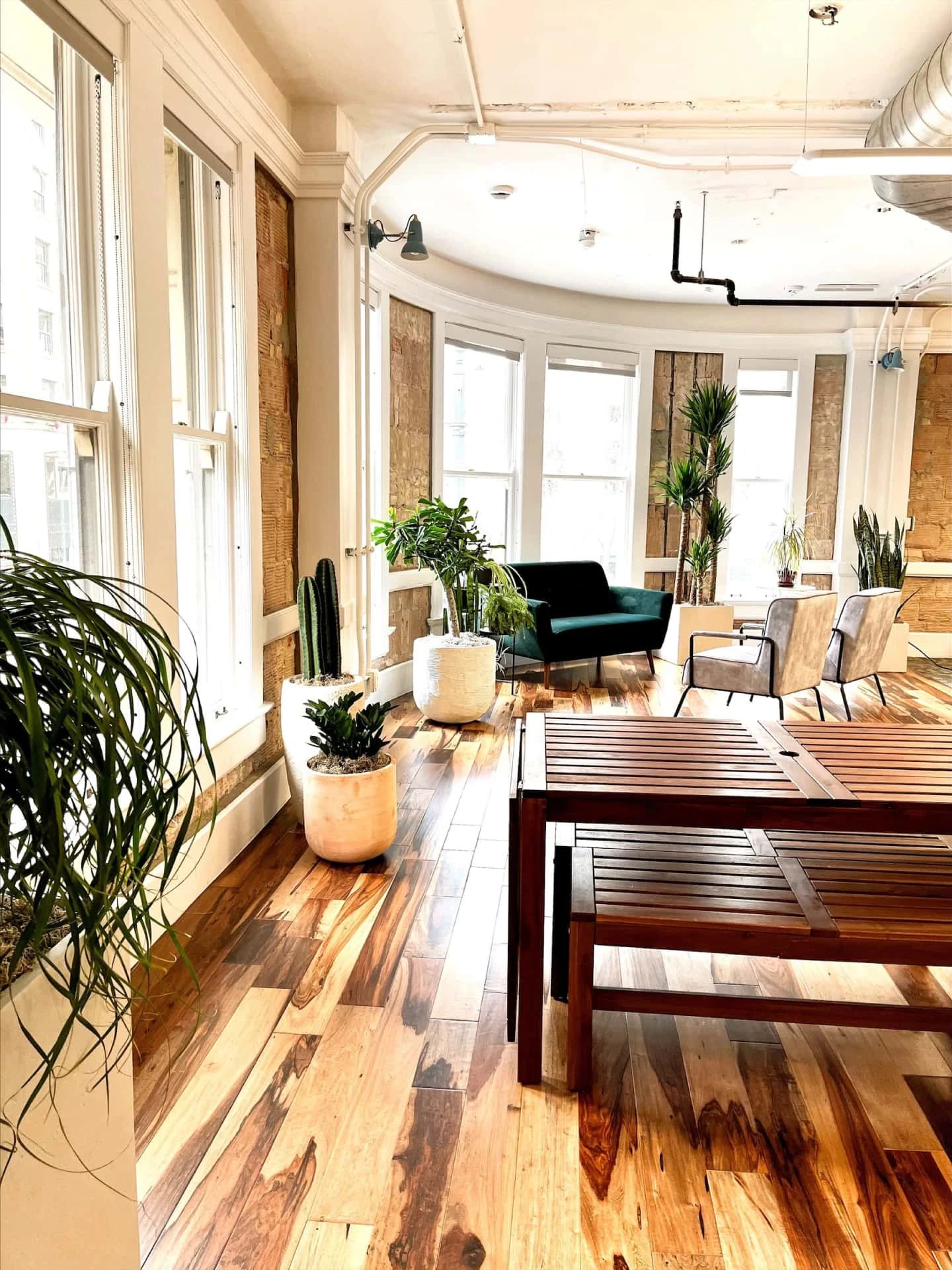 Unchained_Capital-Austin-Natura-Office_plants-01