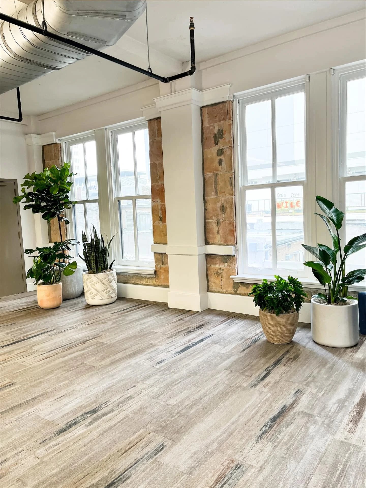 Unchained_Capital-Austin-Natura-Office_plants-02