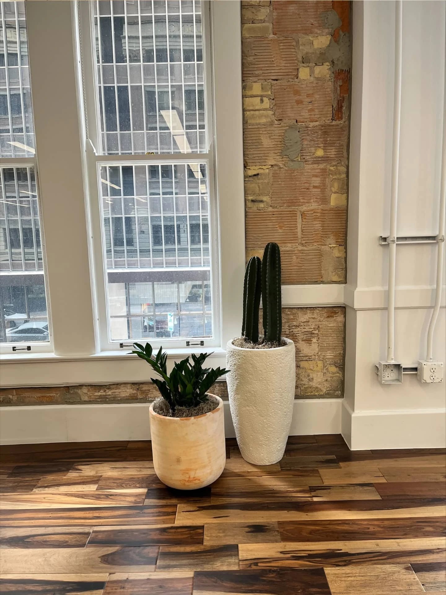 Unchained_Capital-Austin-Natura-Office_plants-03