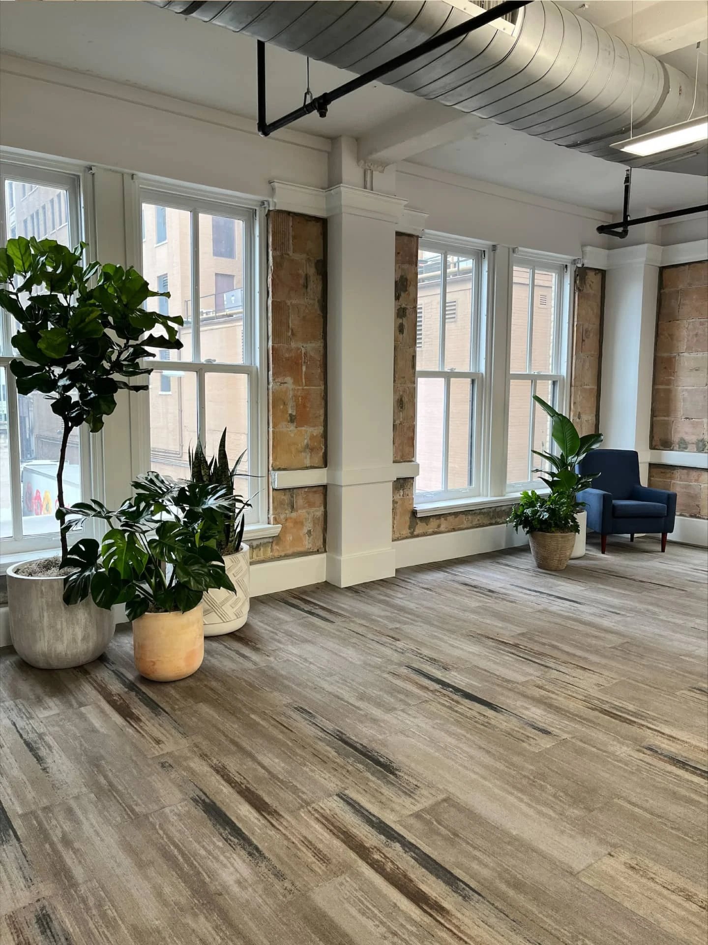 Unchained_Capital-Austin-Natura-Office_plants-04