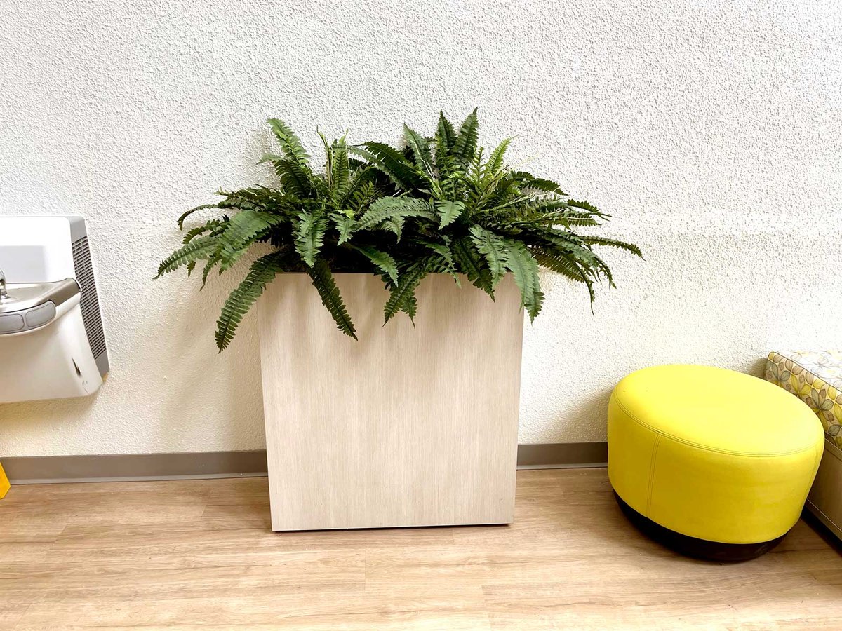 Tall planter with replica / faux Fern in clinic waiting roon