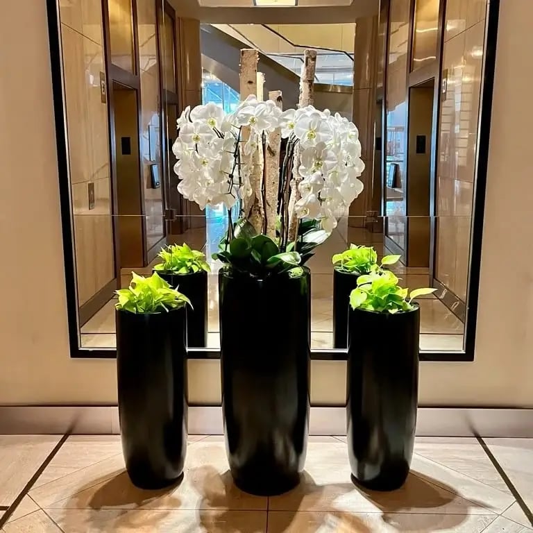 interior lobby with orchids and plants