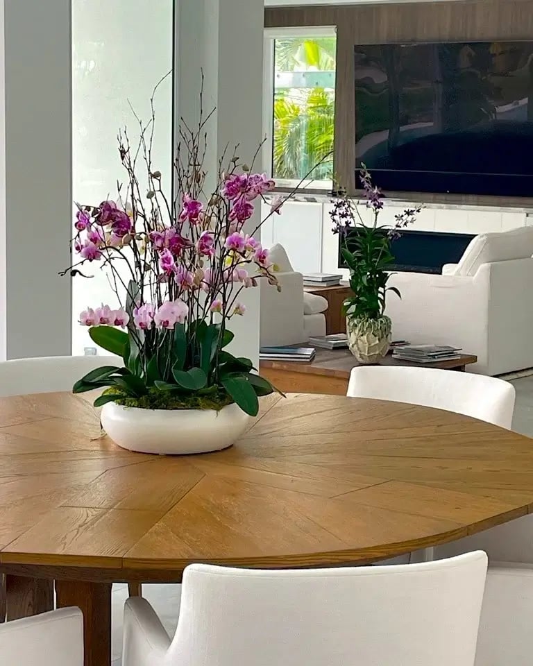 residential space with orchid bowl