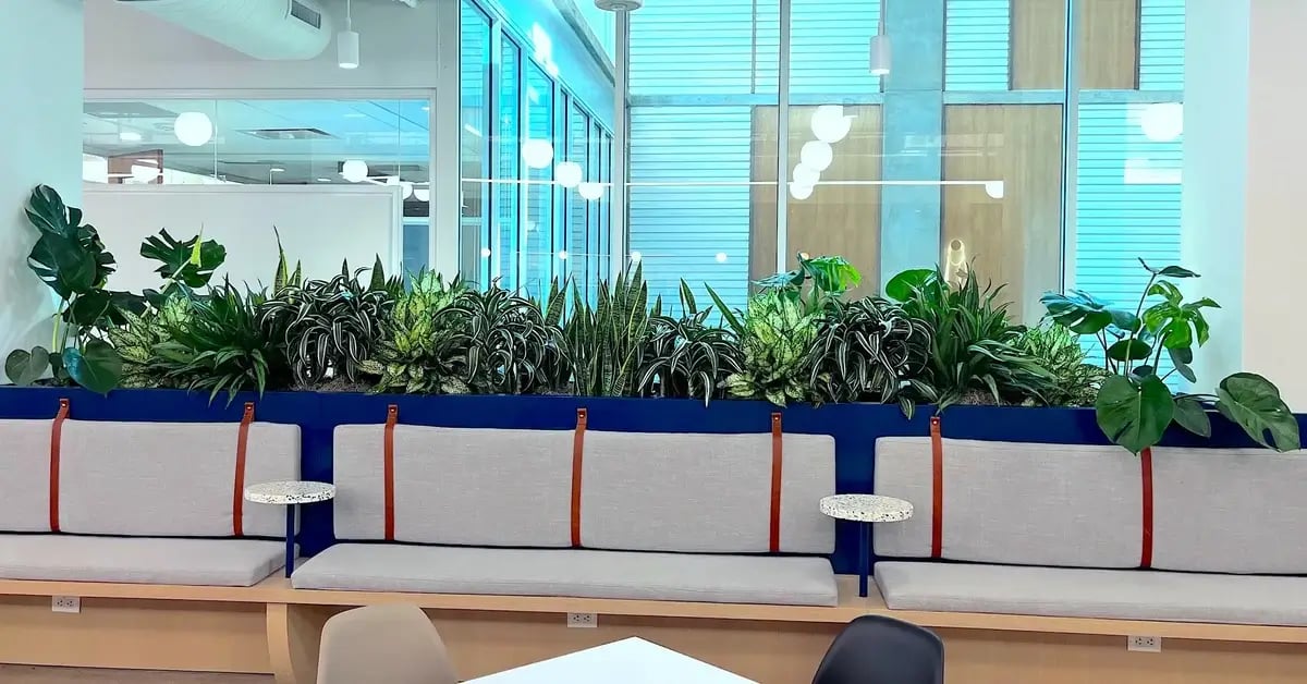 office common space with potted plants