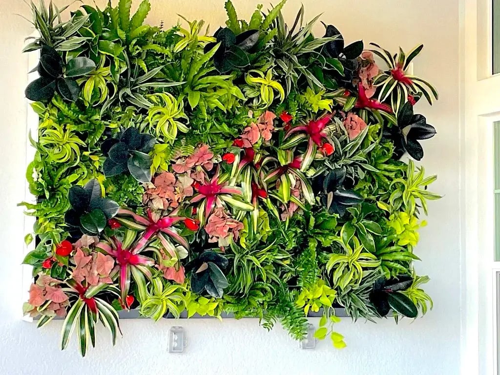 small living wall, residential exterior