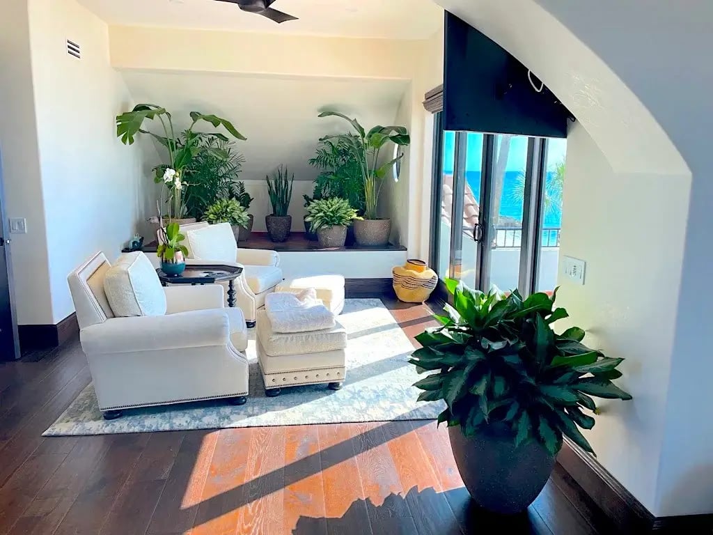 Interior residential space with potted plants