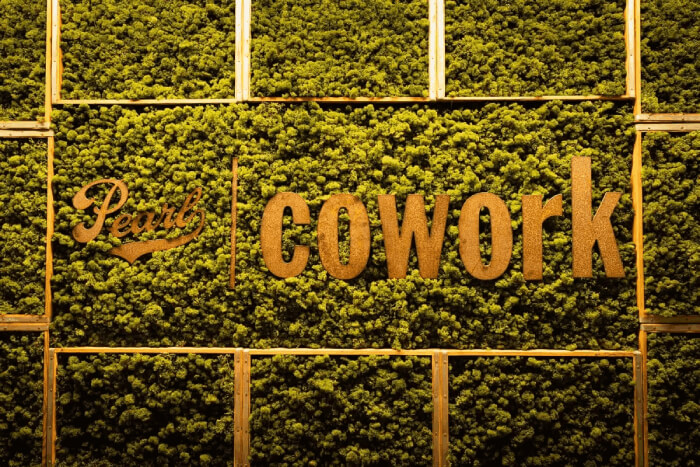 Moss Wall at Pearl CoWork done by Natura 
