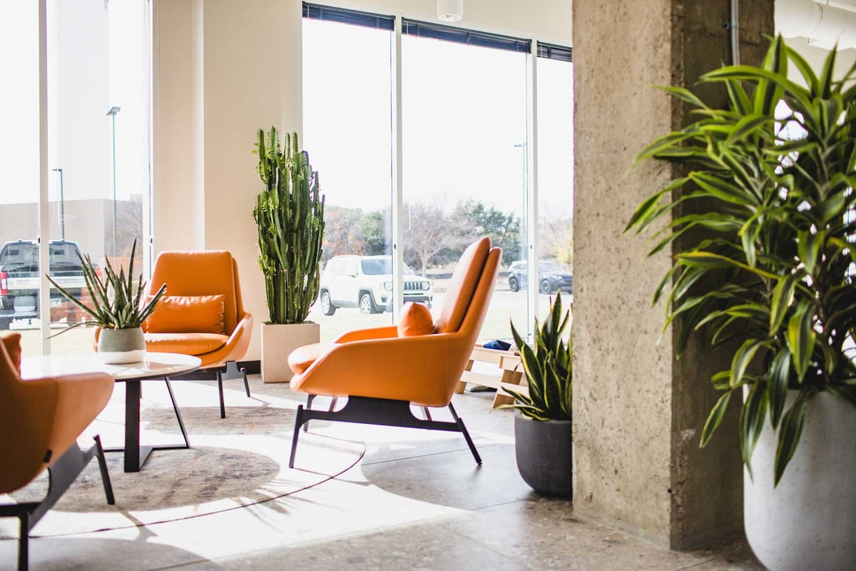 A variety of plants in an office space