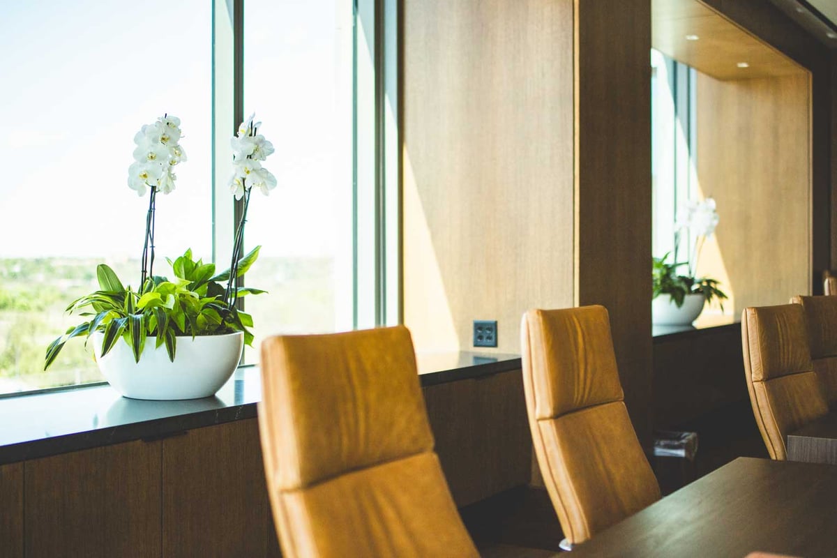 Orchid bowls in an office conference room