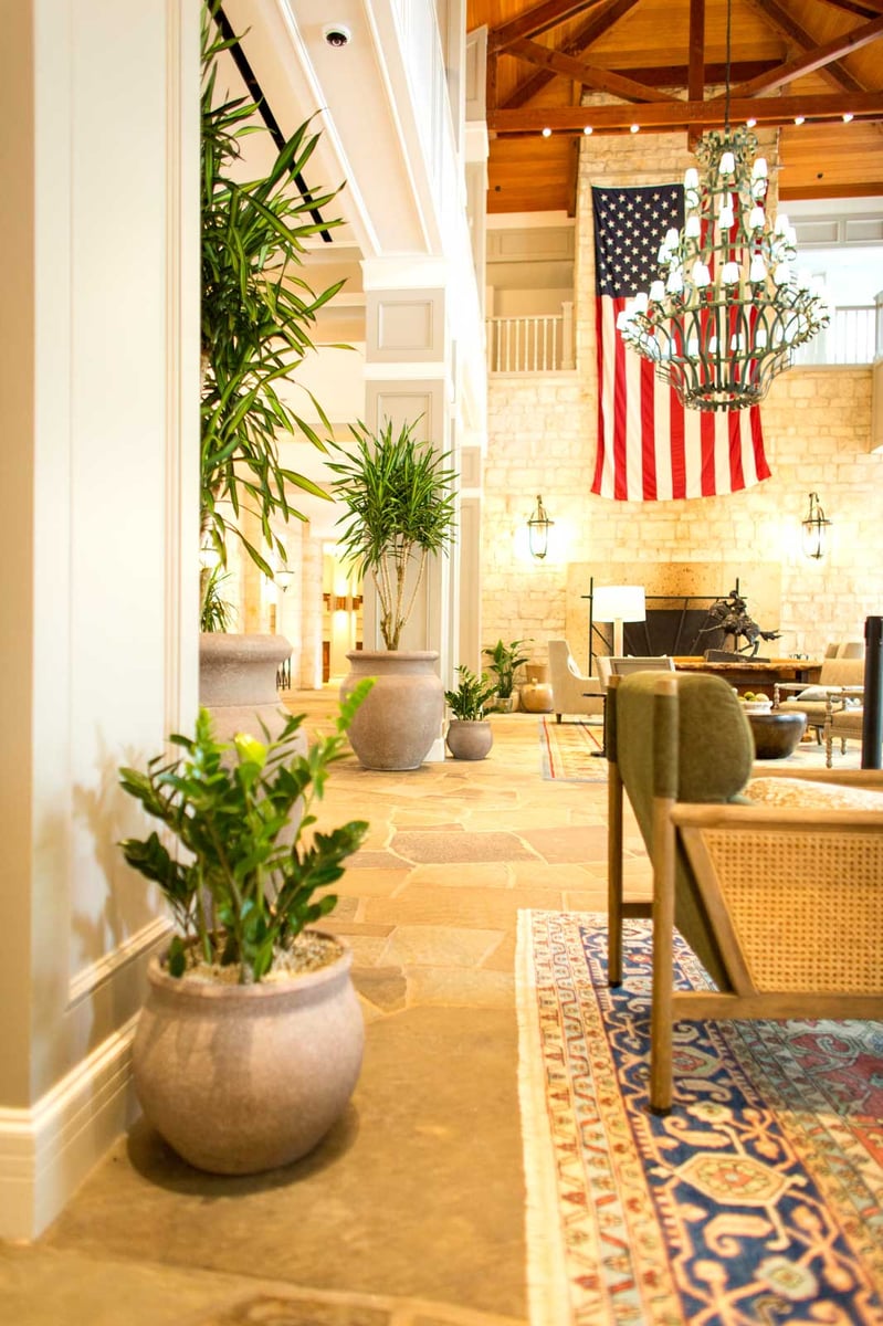 A variety of plants in stone containers in a hotel bar