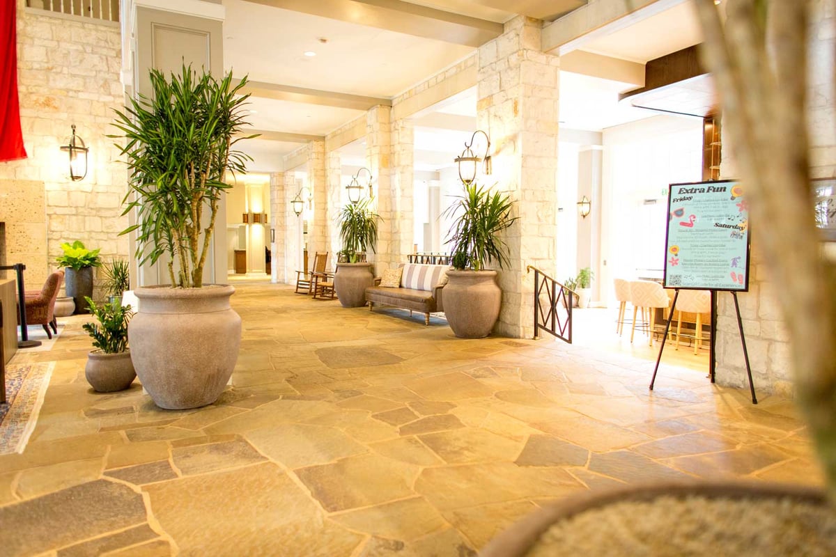 A variety of plants in a hotel hallway in stone containers