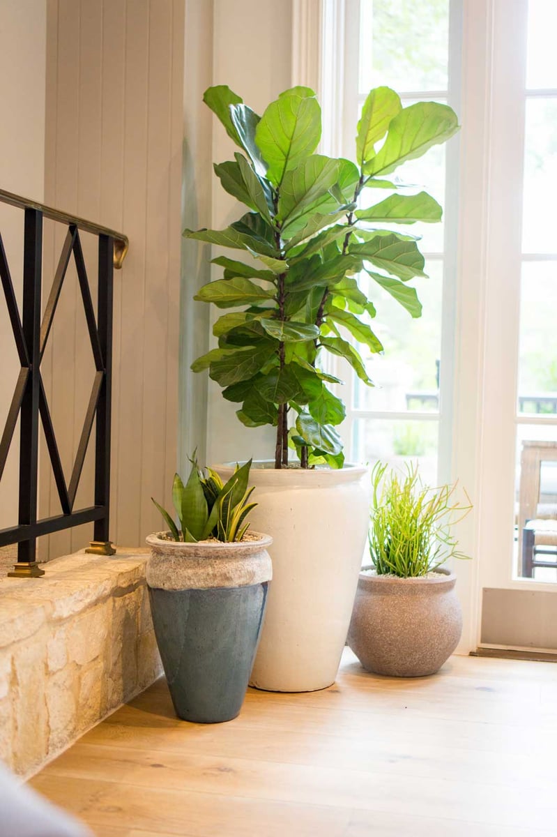 Plants in stone containers in a hotel bar